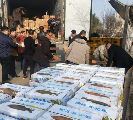 微信圖片_20200119124307_副本.jpg 微信圖片_20200119124307_副本.jpg